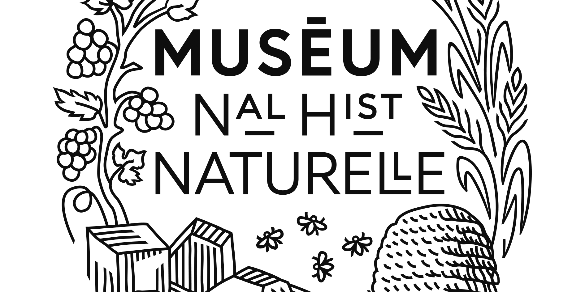 Logo du Museum National d’Histoire Naturelle