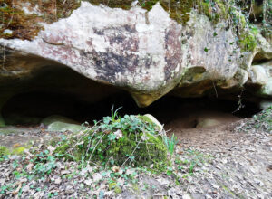Prehistoire Apercu Titre Grotte de Prinvaux Source Wikimedia Commons X Javier