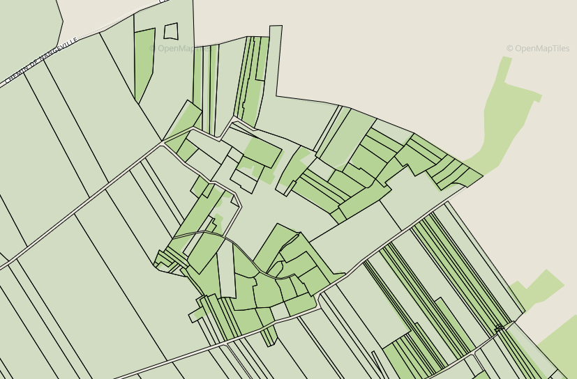 Fond des Vignes – Extrait du cadastre actuel (Source : France Cadastre)