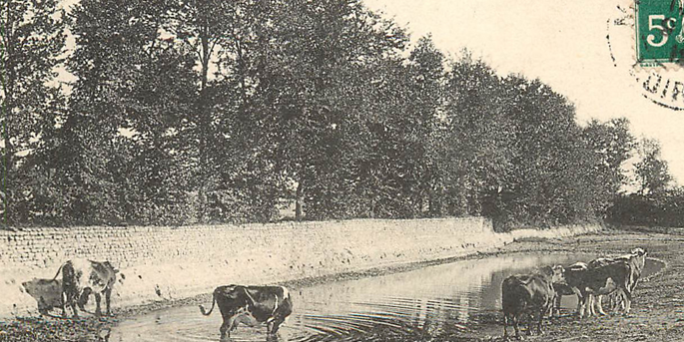 Vieilles cartes postales