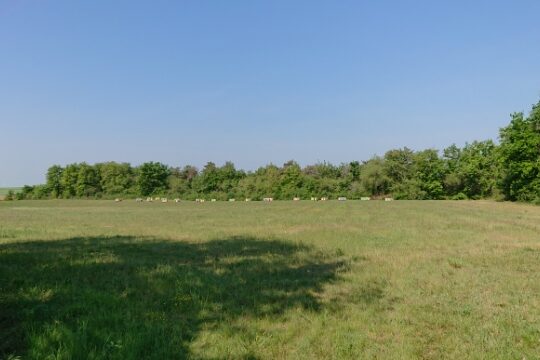 Nangeville – Paradis – mai 2022