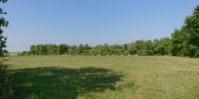 Nangeville – Paradis – mai 2022