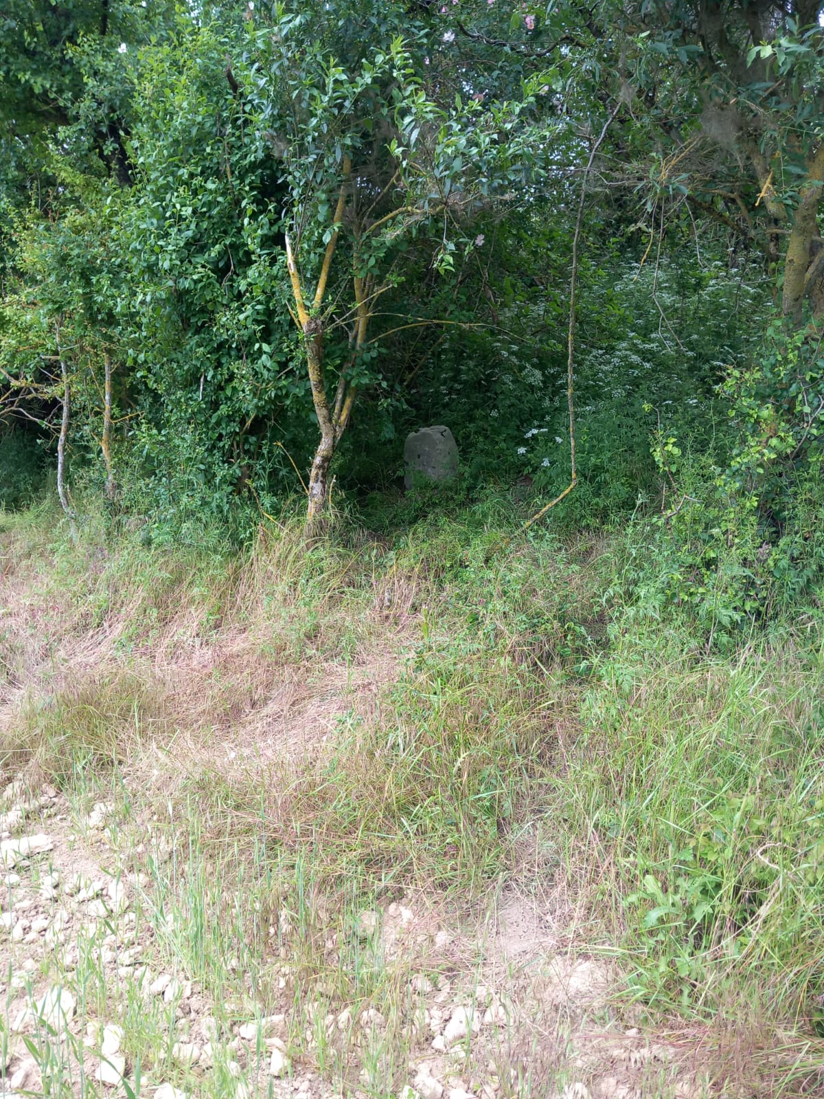 Photo2 borne avec croix Paradis – Guy Ciret – juin 2024